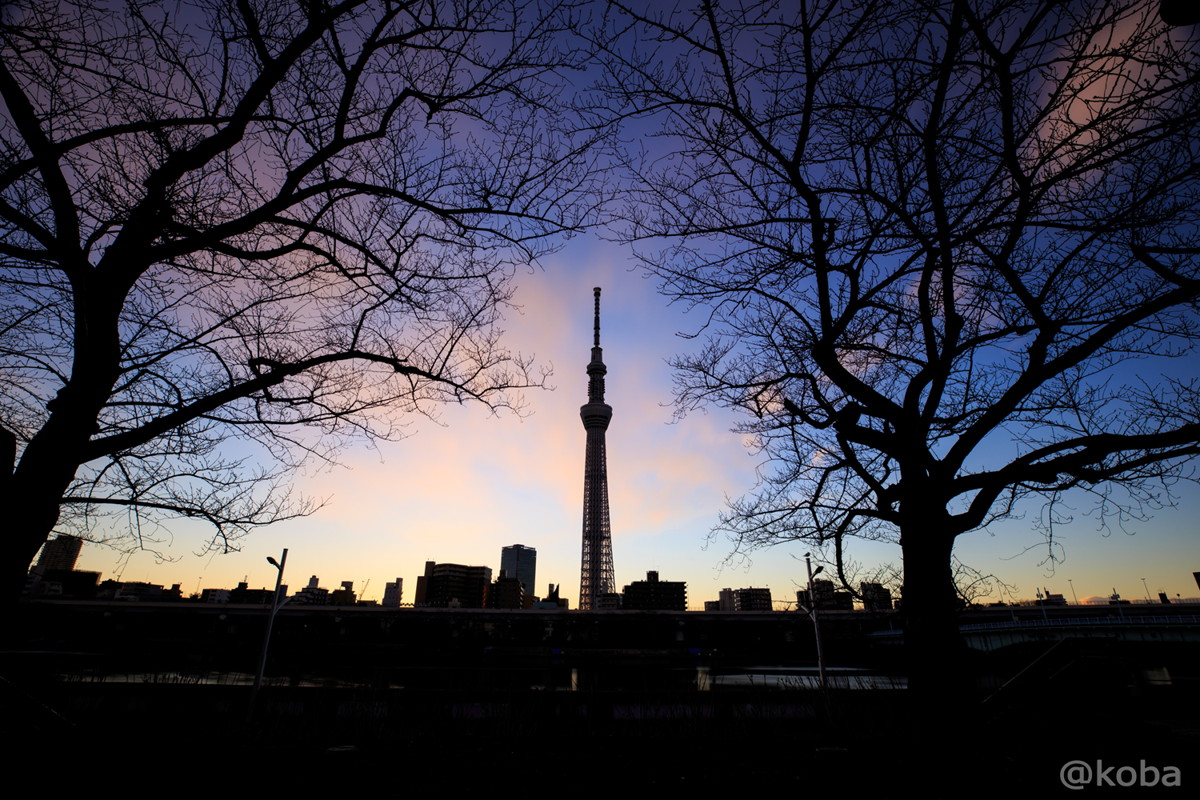 朝の東京スカイツリー 日の出とシルエット 隅田川沿い こばフォトブログ 自分らしく自由気ままに