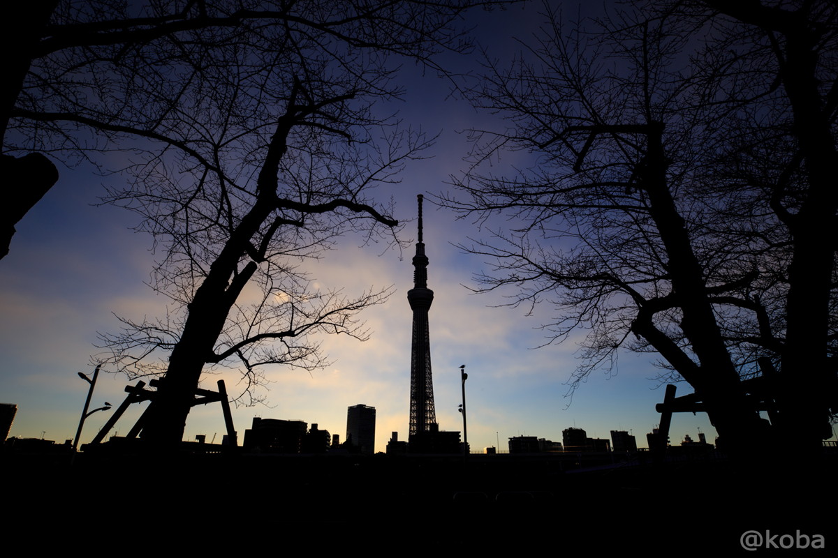 朝の東京スカイツリー 日の出とシルエット 隅田川沿い こばフォトブログ 自分らしく自由気ままに