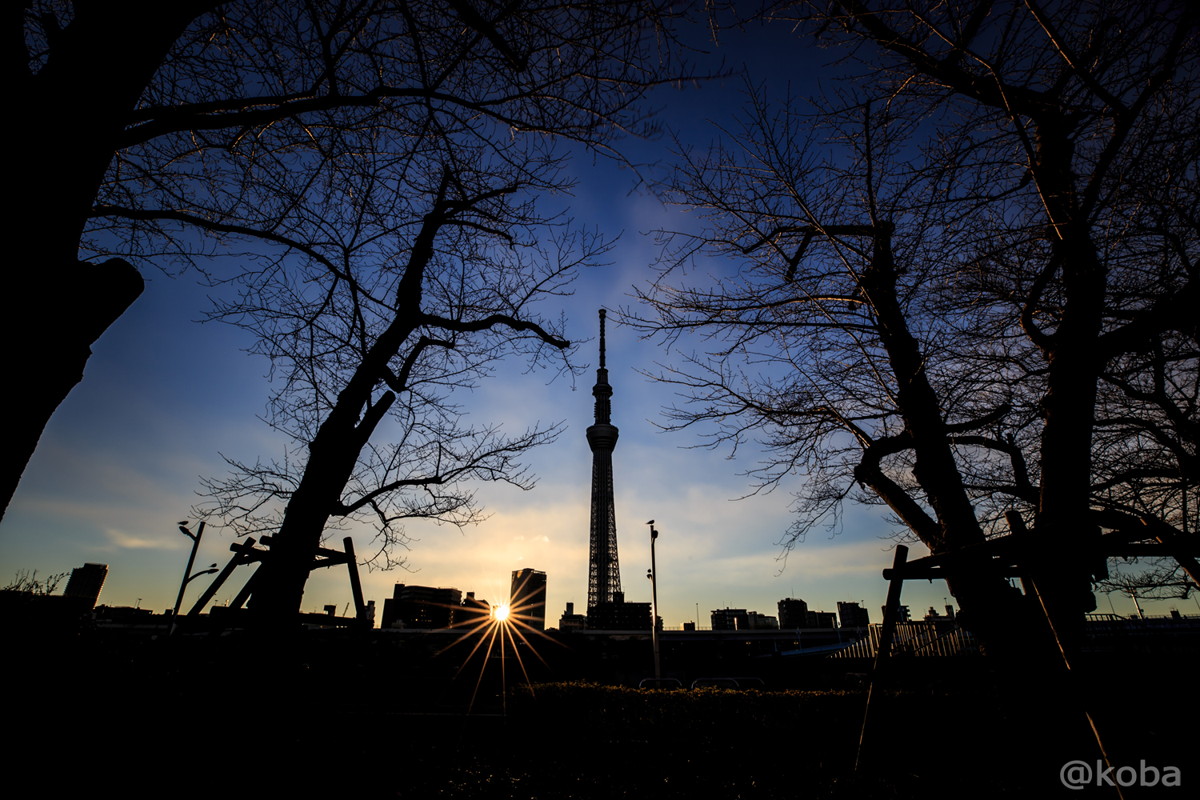 朝の東京スカイツリー 日の出とシルエット 隅田川沿い こばフォトブログ 自分らしく自由気ままに