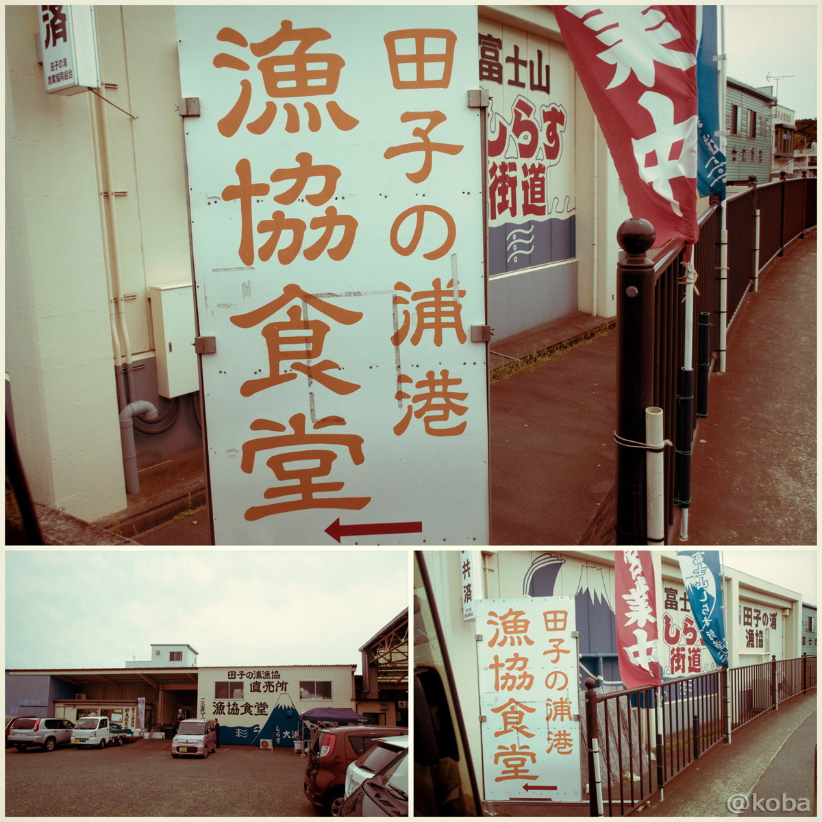 外観　駐車場 │静岡 田子の浦港(たごのうらこう) 漁協食堂│海鮮料理 漁港 ブログ