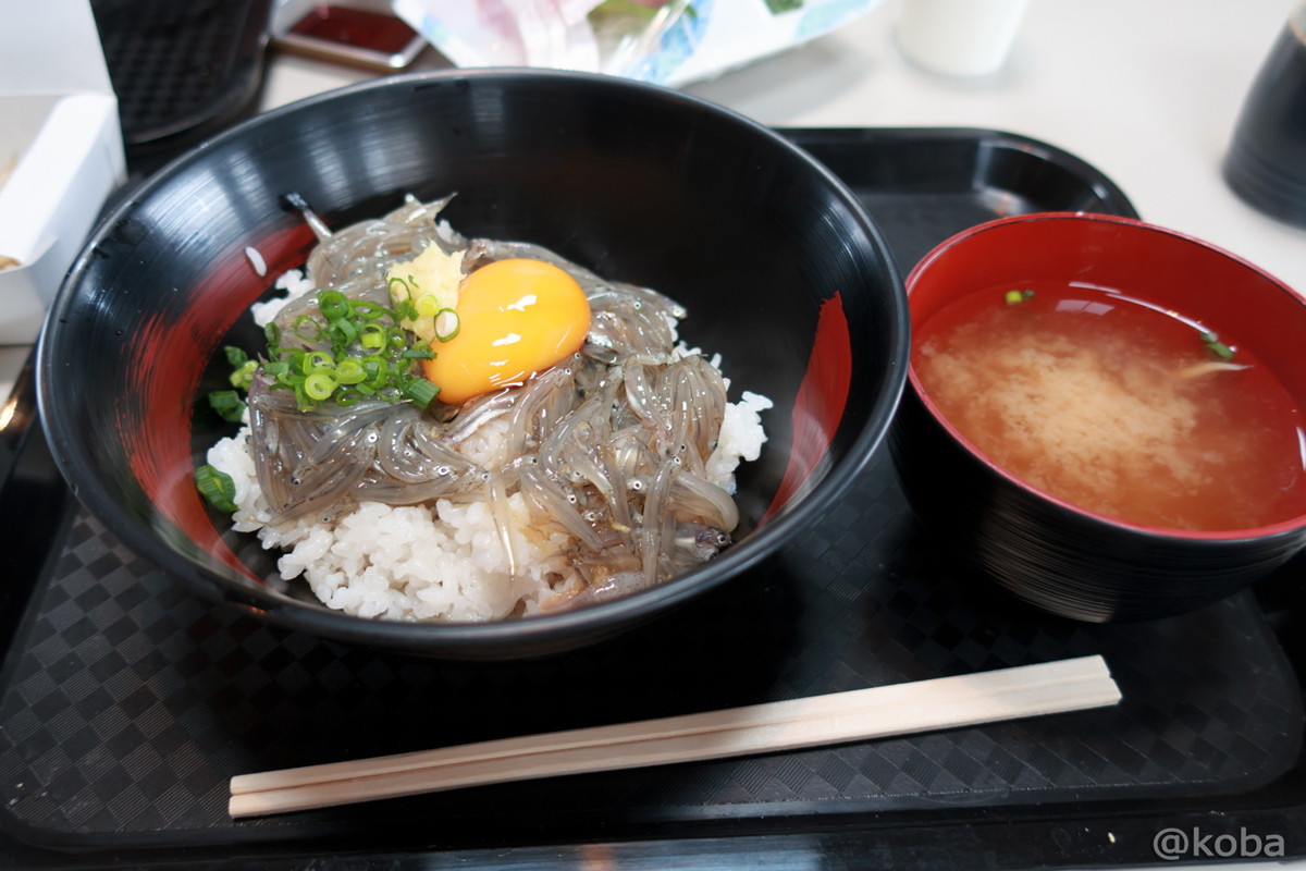 赤富士丼(生シラス丼) 750円 (味噌汁付き)│静岡 田子の浦港(たごのうらこう) 漁協食堂│海鮮料理 漁港 ブログ