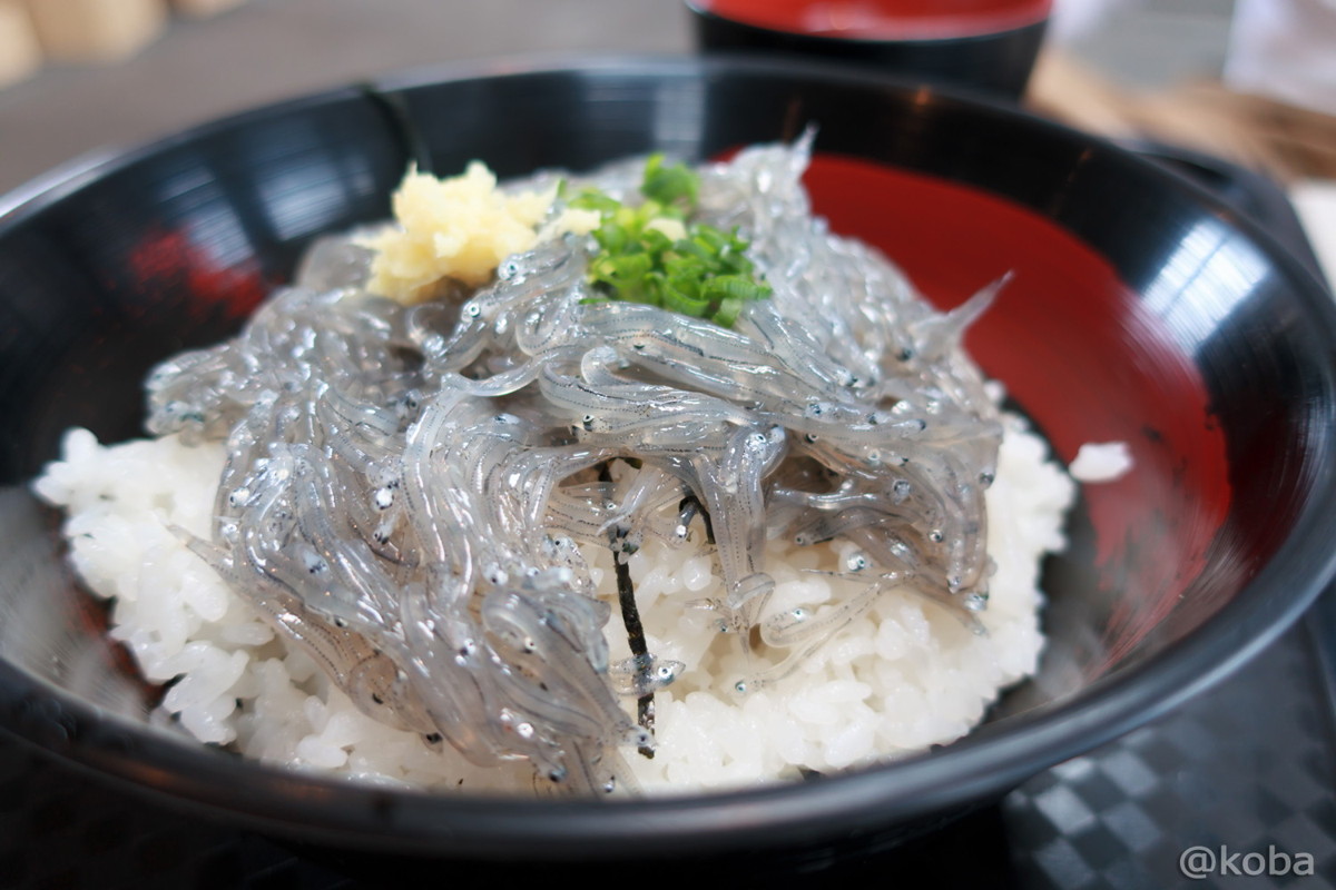 生シラス丼 大盛│静岡 田子の浦港(たごのうらこう) 漁協食堂│海鮮料理 漁港 ブログ