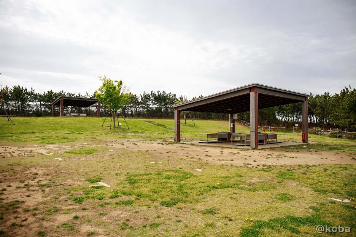 バーベキューが出来る公園　ディキャンプ場 │浦安総合公園│こばフォトブログ@koba