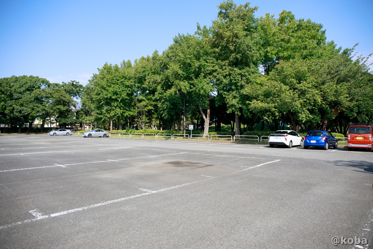 水 元 公園 駐 車場