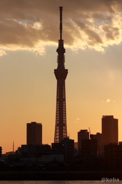 四つ木 東京スカイツリー 夕方