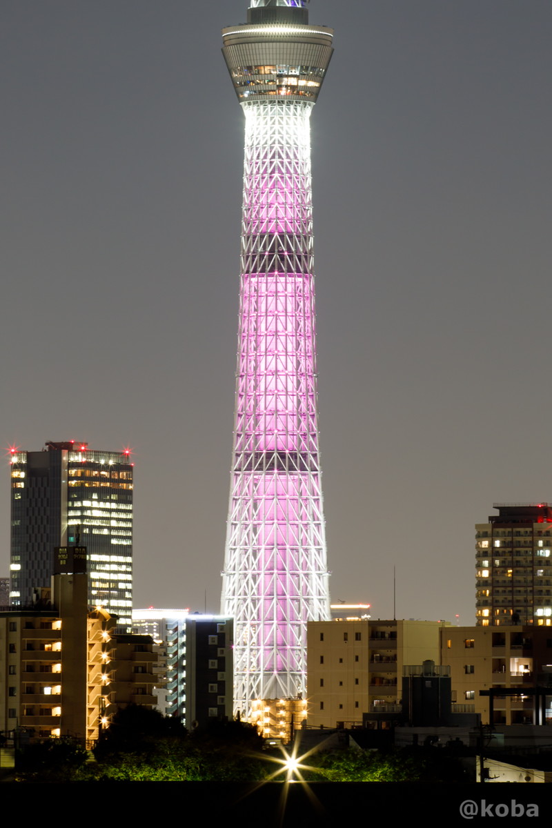 東京スカイツリー 葛飾区 四ツ木より 1日限定の特別ライティング。 乳がんの知識啓発キャンペーン「ピンクリボンキャンペーン」に協力し、ピンク色の特別ライティングです。