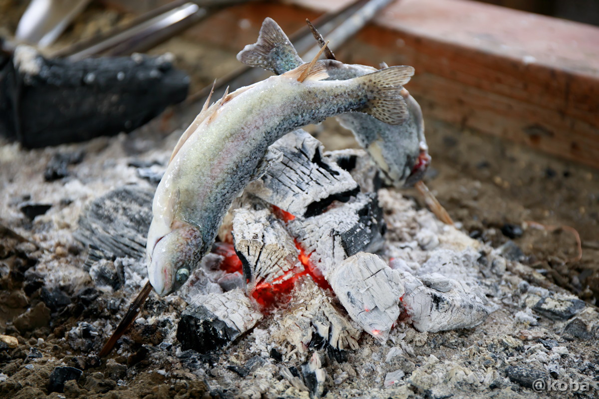 栃木 100円で釣り堀 古戸中養魚場 ことちゅうようぎょじょう こばフォトブログ 自分らしく自由気ままに