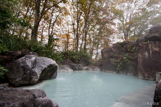 燕温泉 黄金の湯 岩風呂の写真│新潟県