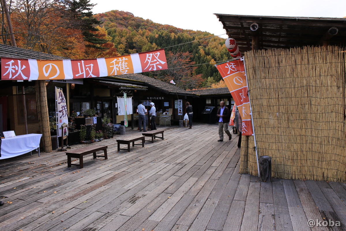 秋の収穫祭 の写真｜蕎麦匠房 まくらぎ（Soba makuragi yakushi-hatago）｜薬師温泉 旅籠（はたご）和食｜〒377-0933 群馬県吾妻郡東吾妻町本宿３３３０−２０｜こばフォトブログ