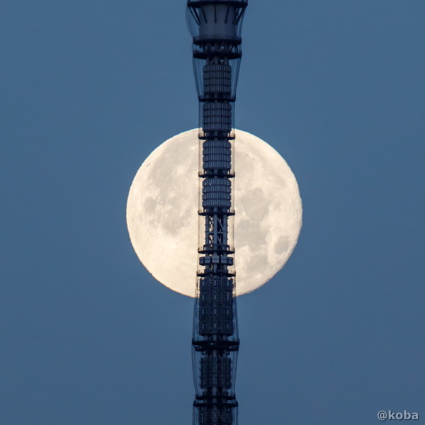 月と東京スカイツリーの写真｜カメラ：Canon｜こばフォトブログ