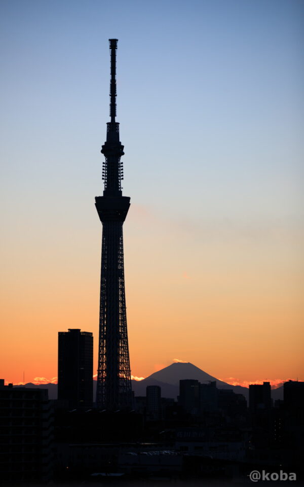 幻想的な風景 東京 スカイスリーと富士山 の写真｜夕方 薄暮 シルエット 夕闇 トワイライト 薄明 ｜葛飾区 tokyoskytree｜カメラ：Canon｜こばフォトブログ