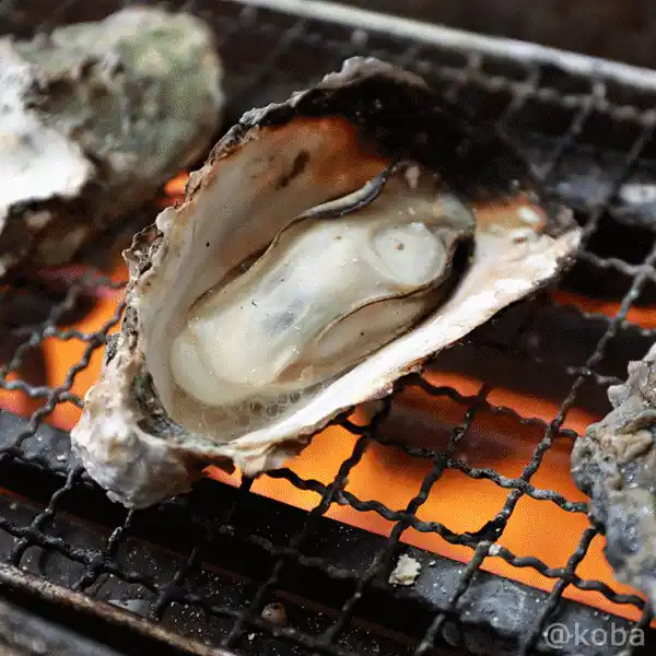 牡蠣浜焼き 動く写真(動画)│食べ放題│活き活き家(いきいきや Ikikiya)八千代店 厚生水産│海鮮ランチ│八千代 道の駅│こばフォトブログ@koba