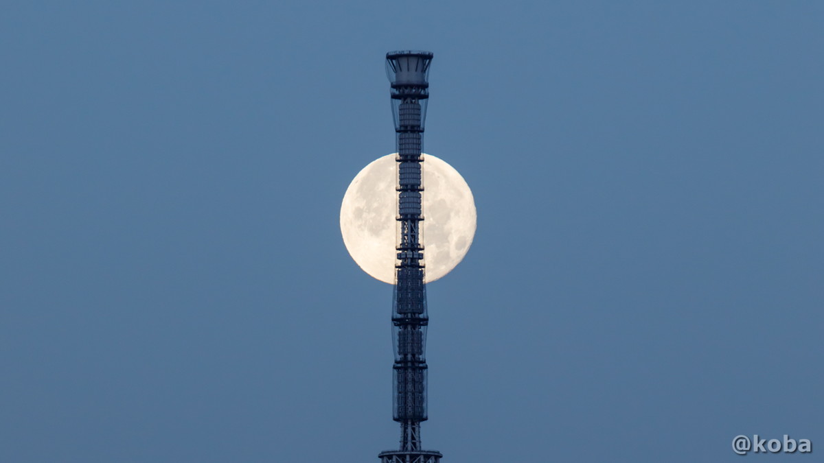月とスカイツリー の写真｜東京スカイツリー｜満月 荒川 京葉 葛西 江戸川区｜full moon and Skytree ｜カメラ：Canon｜こばフォトブログ