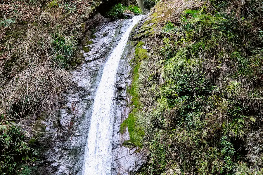 滝の上部のGIF(webp)動画|秩父華厳の滝(ちちぶけごんのたき・Chichibu Kegon Falls)|落差12m| 〒369-1625 埼玉県秩父郡皆野町上日野沢3311−1|こばフォトブログ