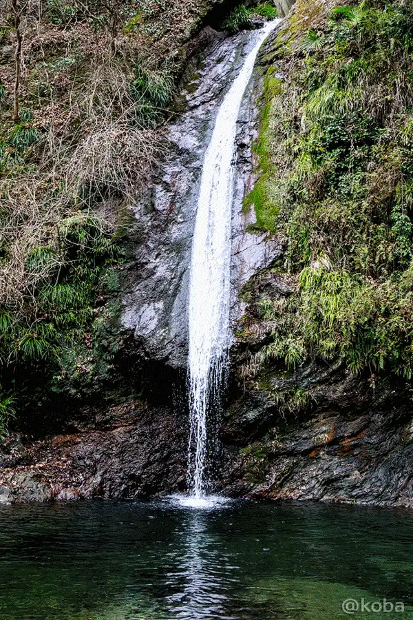 赤黒い岩肌と綺麗な滝壺のGIF(webp)動画|秩父華厳の滝(ちちぶけごんのたき・Chichibu Kegon Falls)|落差12m| 〒369-1625 埼玉県秩父郡皆野町上日野沢3311−1|こばフォトブログ