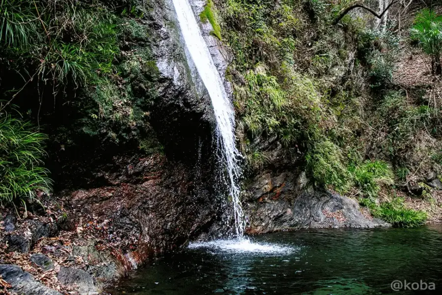 赤黒い岩肌と透明感のある滝壺が美しいGIF(webp)動画|秩父華厳の滝(ちちぶけごんのたき・Chichibu Kegon Falls)|落差12m| 〒369-1625 埼玉県秩父郡皆野町上日野沢3311−1|こばフォトブログ