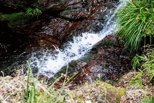 赤黒い岩肌と滝の下側のGIF(webp)動画|秩父華厳の滝(ちちぶけごんのたき・Chichibu Kegon Falls)|落差12m| 〒369-1625 埼玉県秩父郡皆野町上日野沢3311−1|こばフォトブログ