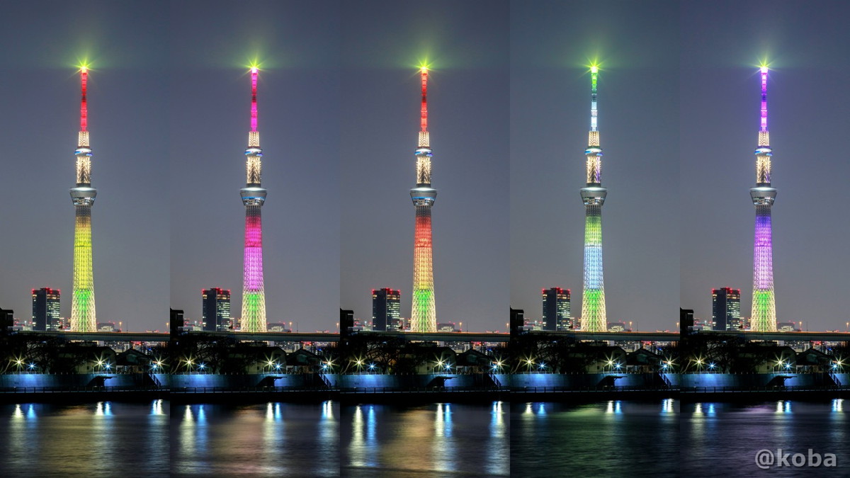 明花　５種類のライティン