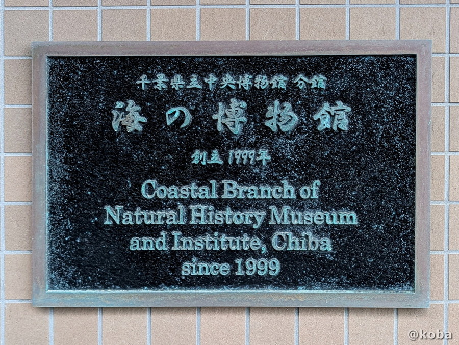 千葉県勝浦市にある「千葉県立中央博物館分館 海の博物館」の正式名称と、創立1999年と刻まれた館名板の写真。