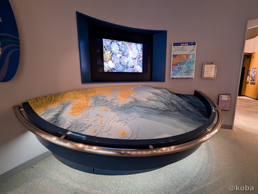 千葉県勝浦市「海の博物館」に展示されている、東京湾の地形が分かる立体模型。