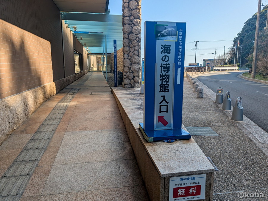 千葉県勝浦市にある「海の博物館」の入り口と、そこへ続くスロープの写真。
