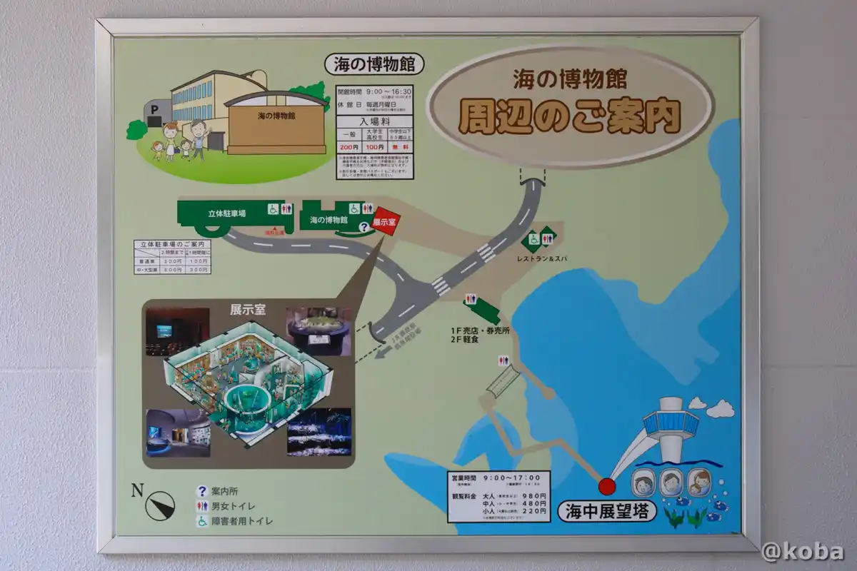 千葉県勝浦市「海の博物館」の周辺情報や自然観察ルートが描かれた案内地図の写真。