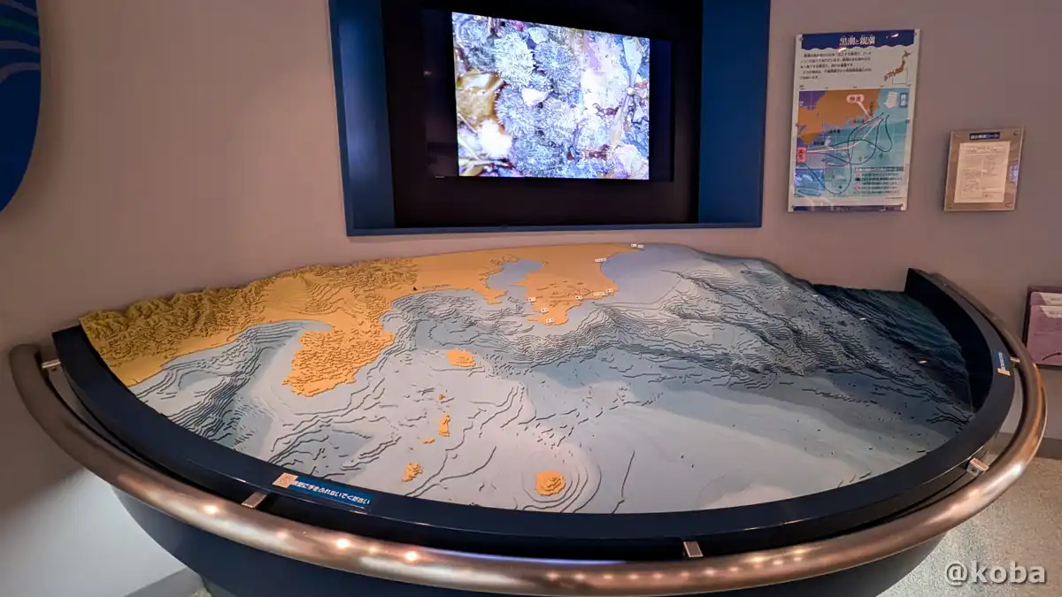 千葉県勝浦市のおすすめ観光スポット「海の博物館」の紹介記事のアイキャッチ画像。東京湾周辺の海底模型の写真。