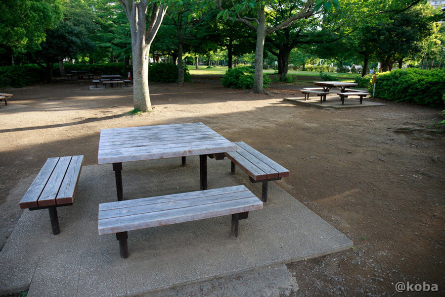 大島小松川公園バーベキュー場のゆったりとした区画と野外卓