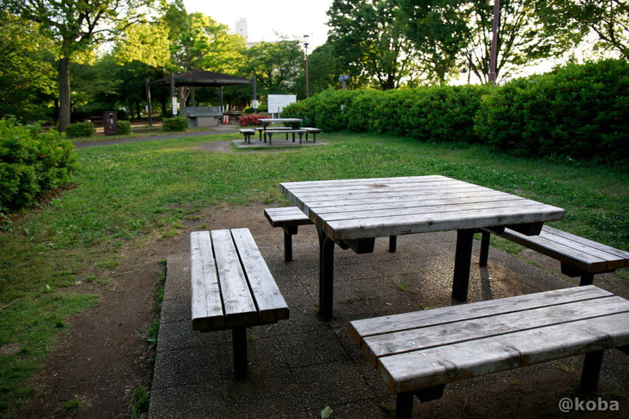 緑に囲まれた大島小松川公園バーベキュー広場の全景