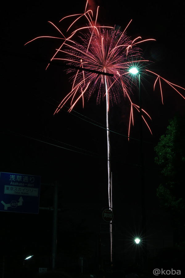 向島5丁目付近の路上から見上げる大迫力の隅田川花火(夜空に大きく広がる鮮やかなピンクの大輪)