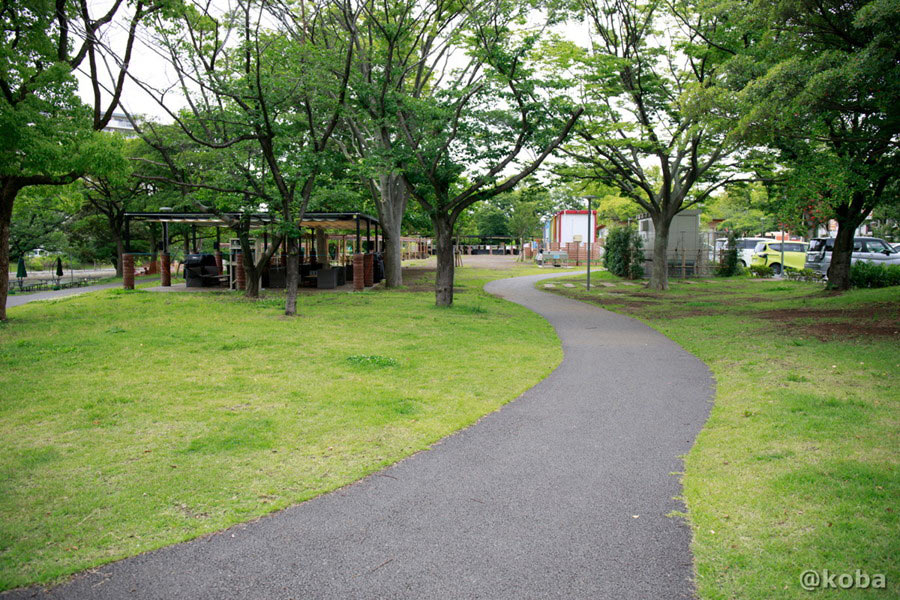 新左近川親水公園 バーベキューエリアへ続く通路からの眺め
