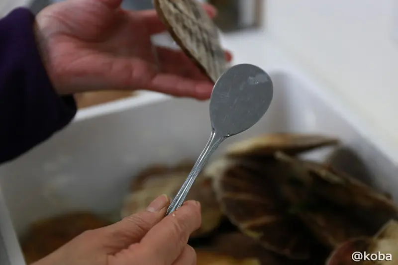 ホタテの平らな面を下にして端の隙間から専用ヘラを差し込む様子