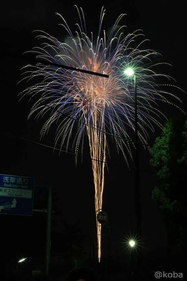 夜空を明るく照らす色鮮やかな打ち上げ花火(多色グラデーションが美しい大輪の花火)
