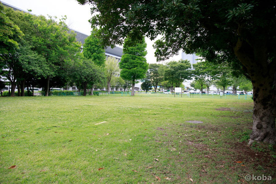 緑豊かな辰巳の森海浜公園のバーベキューエリア