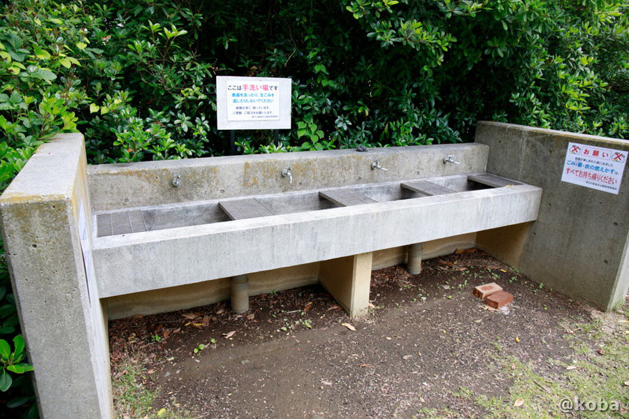 辰巳の森海浜公園 バーベキュー広場近くの手洗い場(水道)
