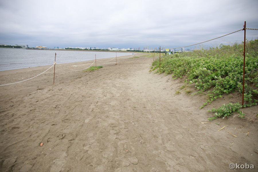 BBQエリアへ向かう海沿いの砂地の道