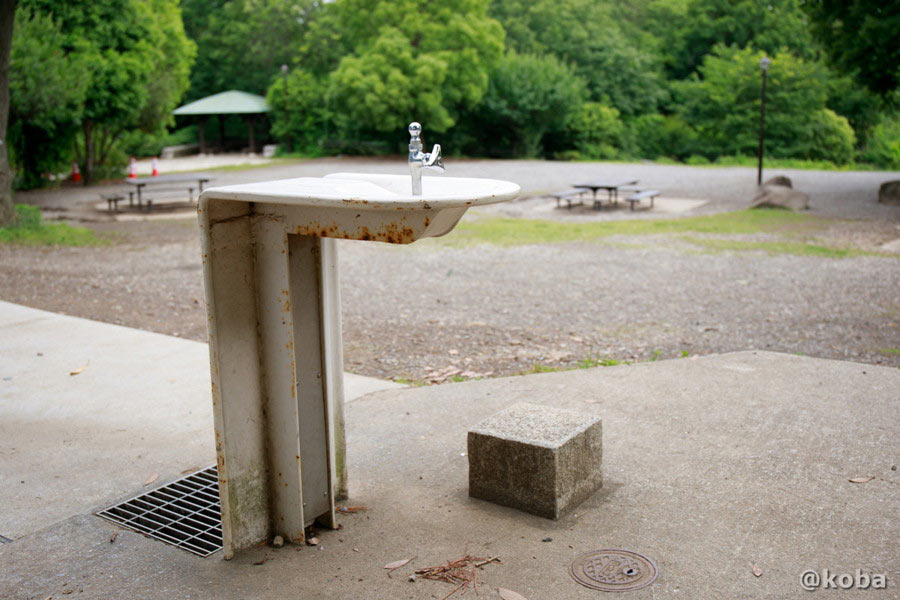 バーベキュー広場内に設置された白い水飲み場