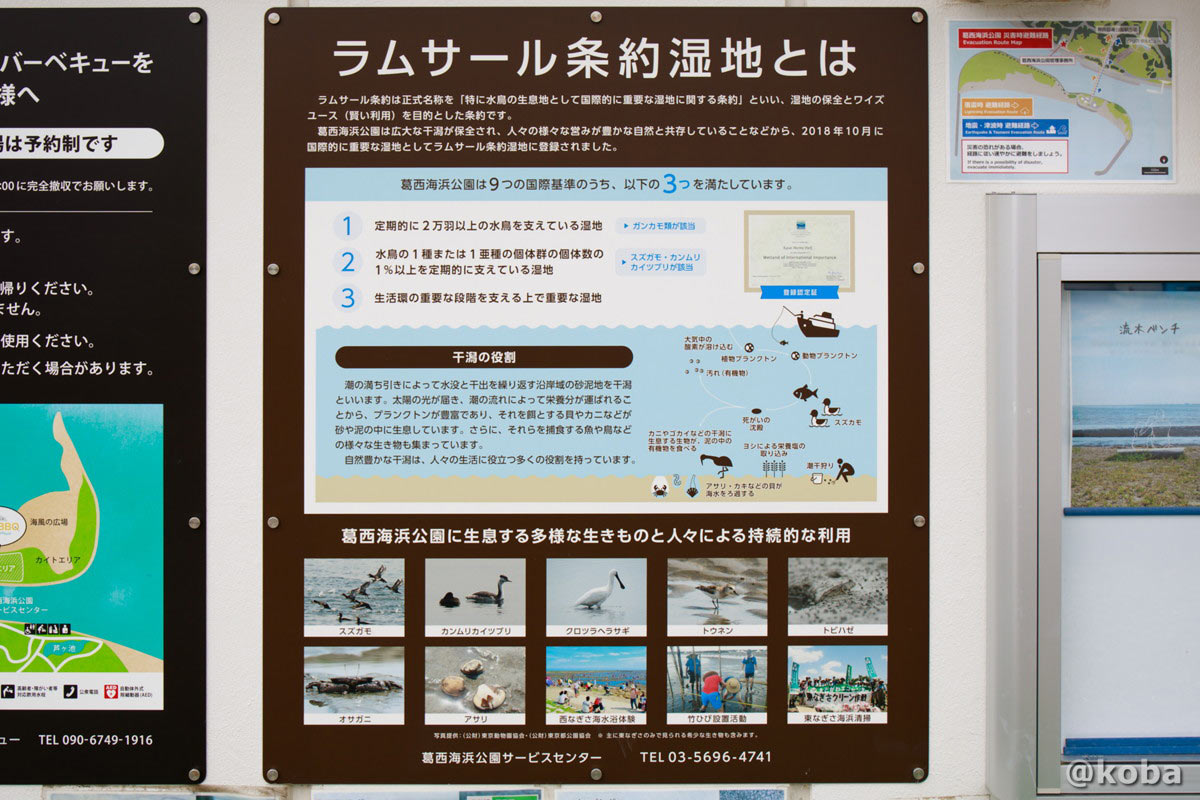ラムサール条約湿地についての解説看板