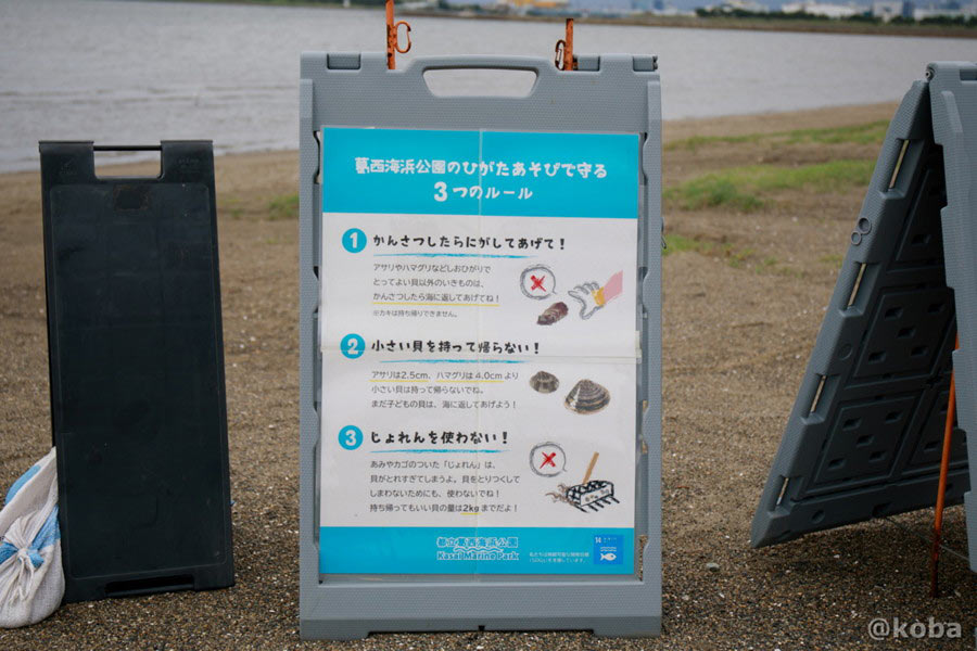 葛西海浜公園の干潟を守る遊び方3つのルール
