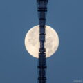 月と東京スカイツリーの写真｜カメラ：Canon｜こばフォトブログ