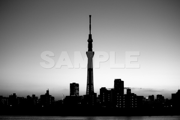a0041_EOS-Kiss-X5-東京スカイツリー-1月-夕方-四つ木より-白黒