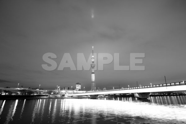 東京スカイツリー(TOKYO SKYTREE)_桜橋_フランス_仏国旗トリコロール_夜景_EOS Kiss X5