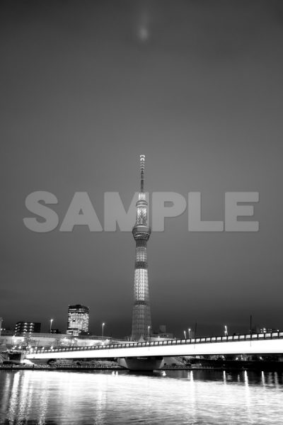 東京スカイツリー(TOKYO SKYTREE)_桜橋_フランス_仏国旗トリコロール_夜景_EOS Kiss X5