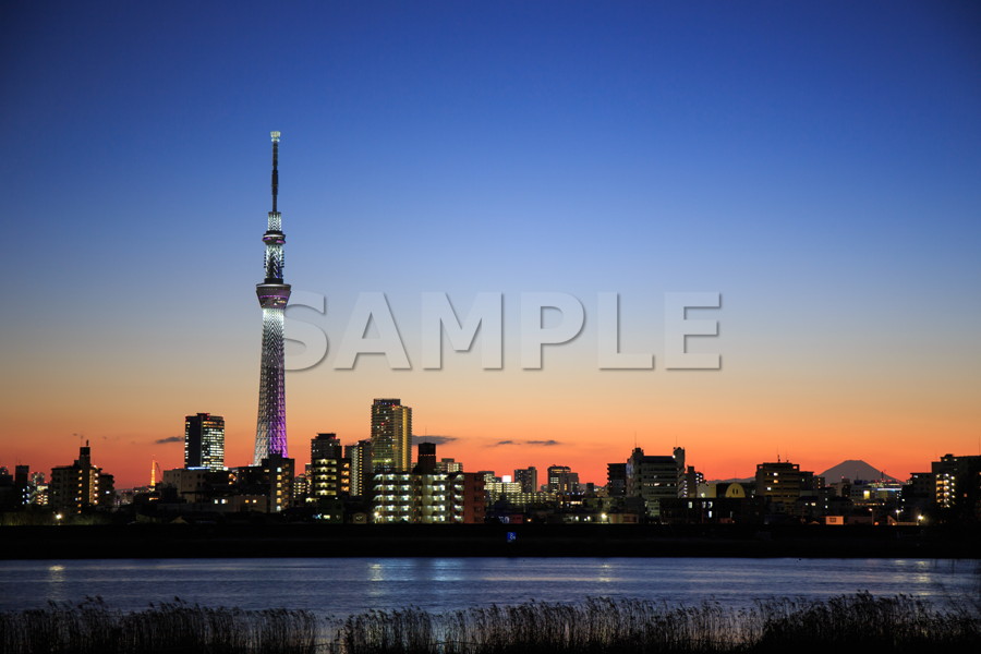 空気が澄んでいた日の夕方、葛飾区四つ木の河川敷で撮影した東京スカイツリー 「薄明・トワイライト」 / 雅 / 6,000×4,000pixel