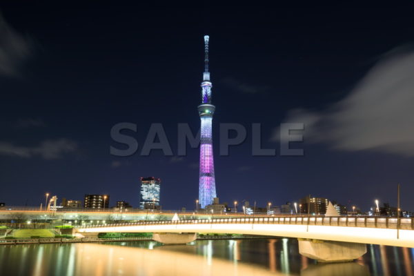 桜橋 舞 まい 桜の花びらが舞う ピンク色  橋梁 歩行者専用橋 夜景 スカイツリー Tokyo skytree