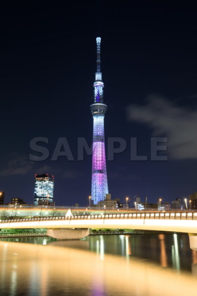 桜橋 舞 まい 桜の花びらが舞う ピンク色  橋梁 歩行者専用橋 夜景 スカイツリー Tokyo skytree