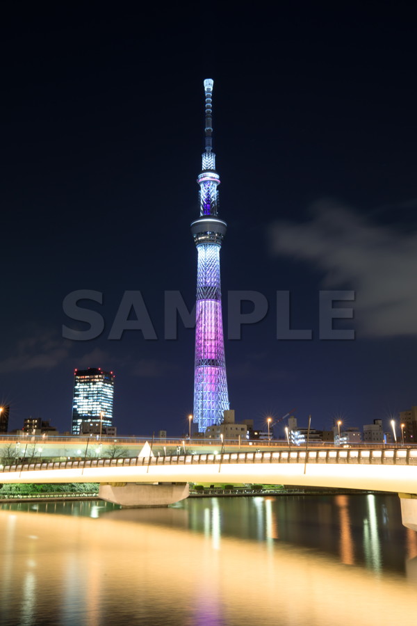 桜橋 舞 まい 桜の花びらが舞う ピンク色 橋梁 歩行者専用橋 夜景 スカイツリー Tokyo skytree