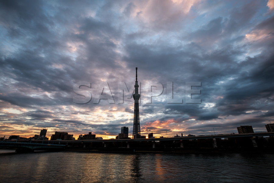 隅田公園 朝焼け 早朝 台東区 隅田川 東京スカイツリー Tokyo skytree 無料 画像 フリー素材