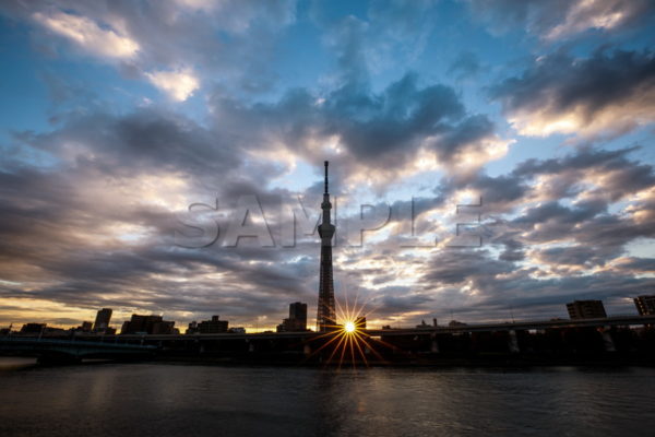 隅田公園 日の出 早朝 台東区 隅田川 東京スカイツリー Tokyo skytree 無料 画像 フリー素材