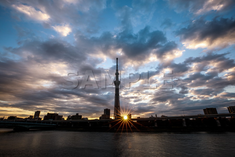 隅田公園 日の出 早朝 台東区 隅田川 東京スカイツリー Tokyo skytree 無料 画像 フリー素材